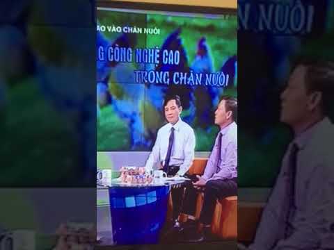 khách sạn gaia phú quốc 2022 Phòng nghĩ ở khách sạn GAIA phú quốc