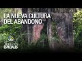 La nueva cultura del abandono - Mérida - Especial VPItv