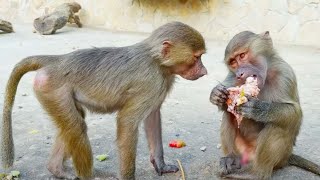 видео: Тося ходит кругами, хочет мяса. Какие игрушки нужны Стёпке? Вся сила в мясе! Главное не разбазарить! картинка: Тося ходит кругами, хочет мяса. Какие игрушки нужны Стёпке? Вся сила в мясе! Главное не разбазарить!