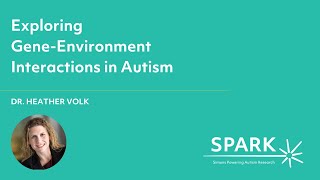 Exploring Gene-Environment Interactions in Autism