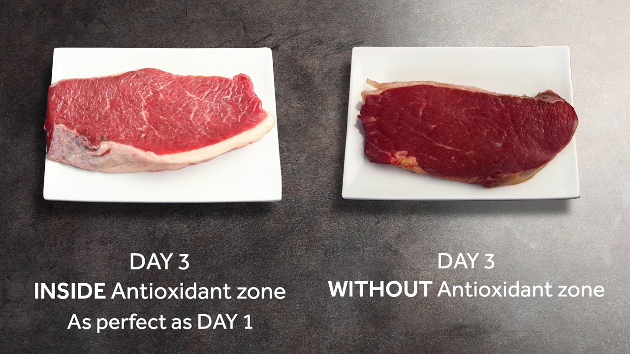 Fresher Techs Haier Antioxidant Zone YouTube