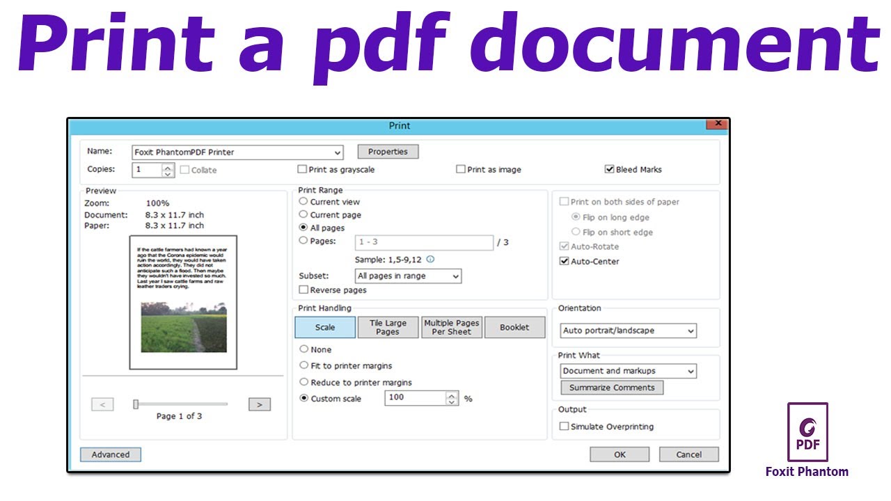 Okklusion længde Afsky How to print a pdf document in Foxit PhantomPDF - YouTube