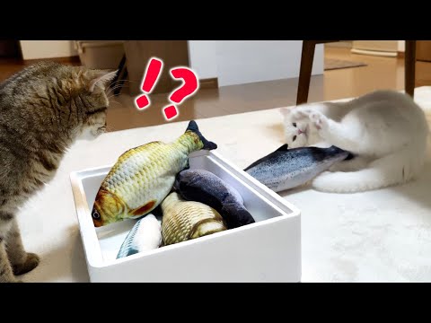 動くリアルな魚を猫たちに見せてみると…