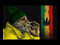 Snoop dogg smoke weed everyday dubstep remix by nikos tsak