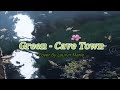 Green - Cavetown Cover (lyrics)