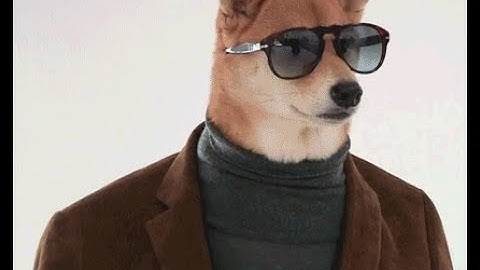 Simple reflex agent COMP237assignment1