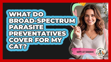 What Do Broad-spectrum Parasite Preventatives Cover For My Cat? - Happy Cat Handbook