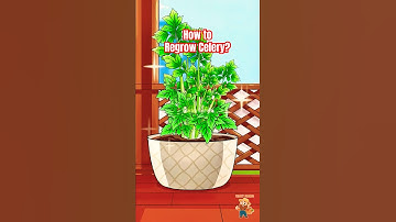 How to Regrow Celery From Its Base? #celery #animation