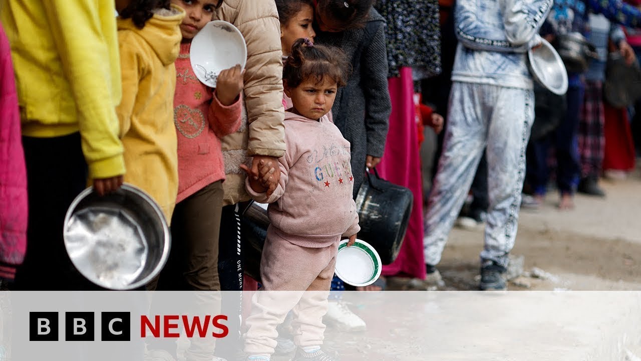 Gazans surviving off animal feed and rice as food dwindles | BBC News