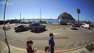 Girl walking behind family on sidewalk walks into street pole and bumps head (Security camera)