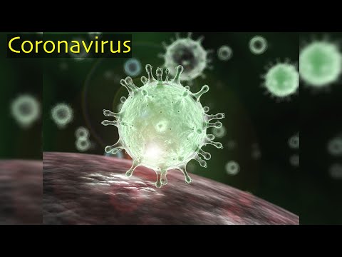 Coronavirus expliqué: ce que vous devez savoir Coronavirus expliqué: ce que vous devez savoir
