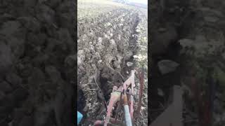 Rakovica 60 Plowing 🔥
