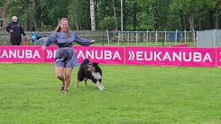 DogDance Senior Jessy - The Time of my life 🎶 by Elke Boxoen - Dogz Devotion Academy  732 views 11 months ago 3 minutes, 38 seconds