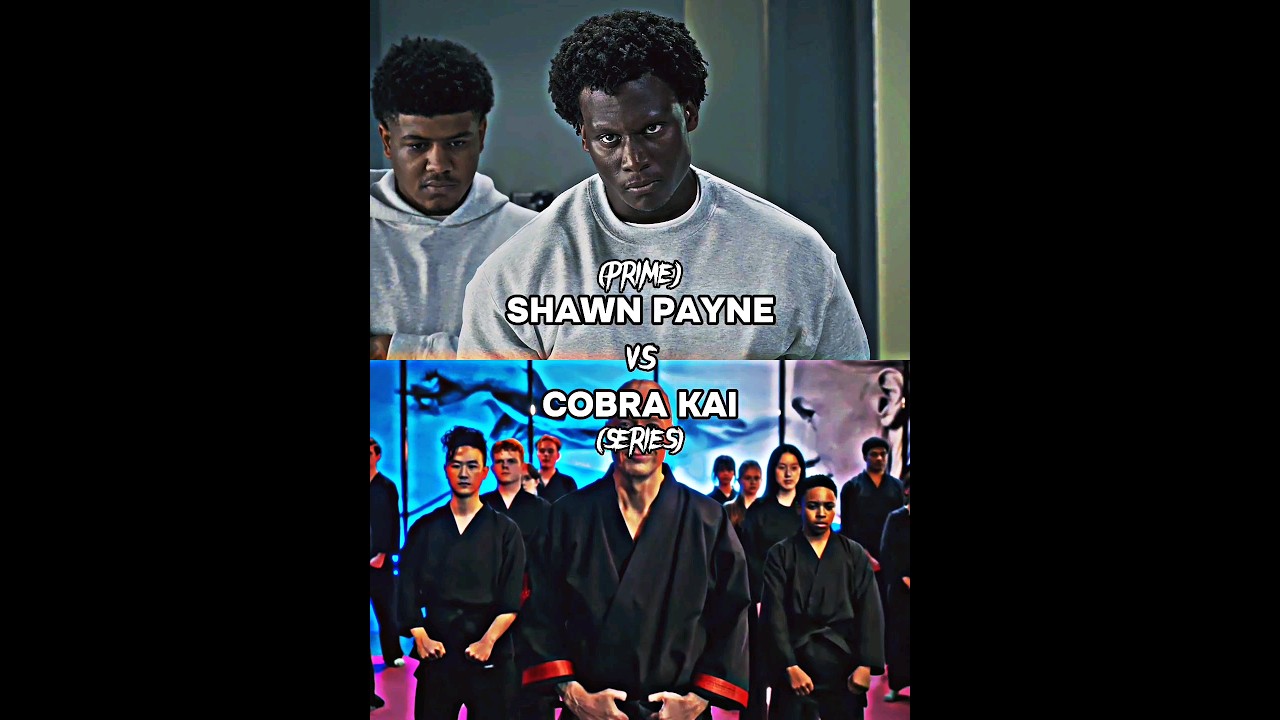 Shawn VS Cobra Kai cobrakai YouTube Shawn VS Cobra Kai cobrakai YouTube