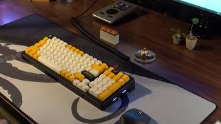 Sound Check - Tx Cp V.2 W Drop Holy Panda