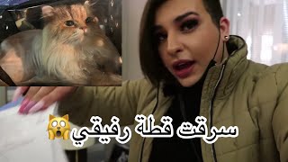 سرقت قطة رفيقي من تركيامسكتني الشرطة‍️