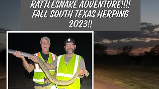 Rattlesnake Adventure!! Fall South Texas Herping 2023!! Finding huge atrox!!