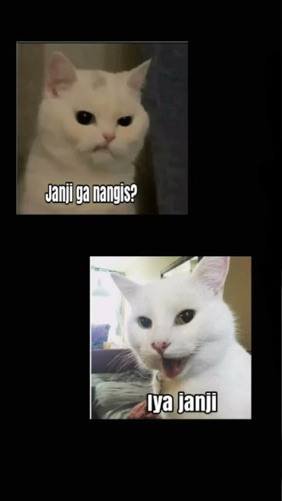 story wa naruto kecil sad