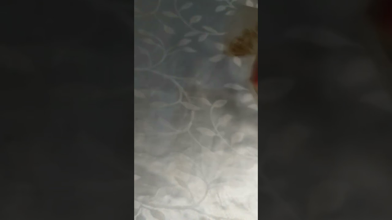 Retentor Óleo Virabrequim Diant Pajero Eclipse MD372249