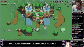 Cadence of Hyrule Blindfolded Speedrun - 4:29:08