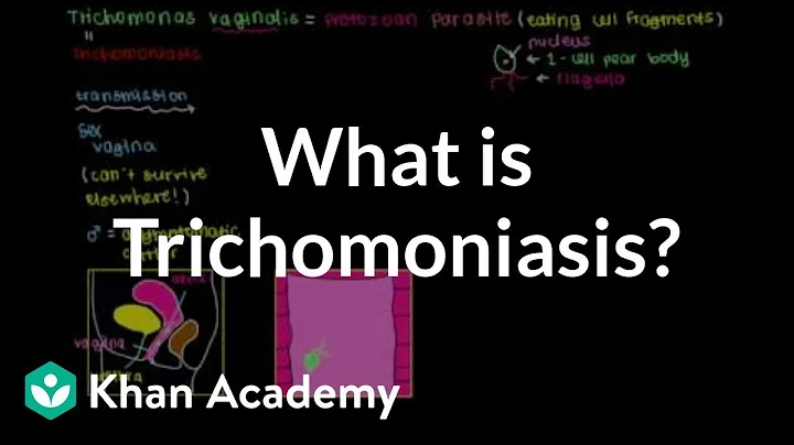 What is trichomoniasis? | Infectious diseases | NCLEX-RN | Khan Academy - DayDayNews