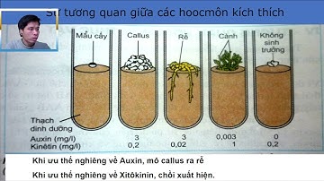cùng học sinh học với   nguyễn long 25