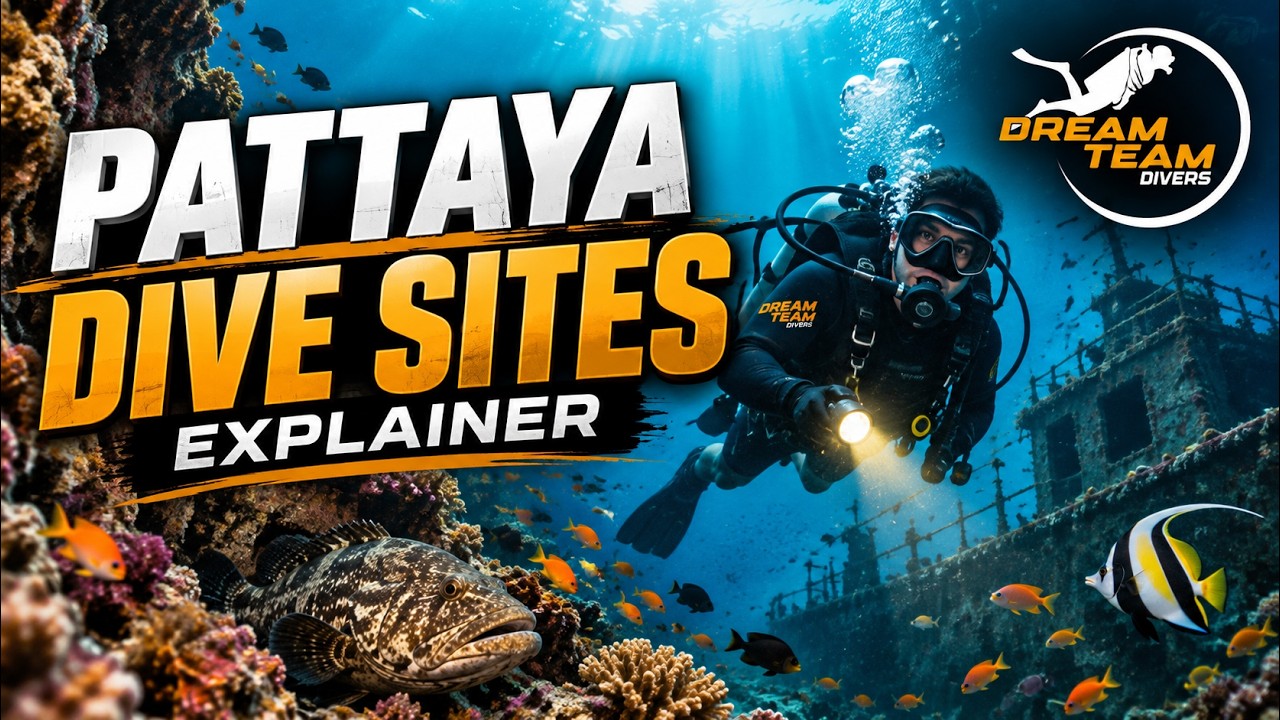 Exploring Pattaya Beneath the Waves: Shipwrecks, Coral Reefs, and Island Dive Maps
