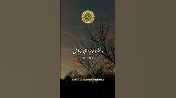 سورة طه الآية 123-126 تلاوة خاشعة