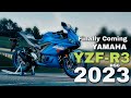 Finally yamaha yzfr3 coming soon in india  bangla review  oaish creation