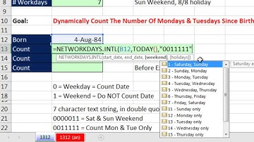 Excel Magic Trick 1312: Count The Number Of Mondays & Tuesdays Since Birth: NETWORKDAYS.INTL