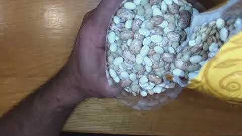 CC3 10.1.3 VIDEO PT. 1