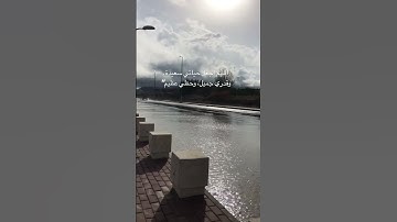 عبدالرحمن مسعد سورة مريم #اكسبلور #قرآن #راحة_نفسية #المصحف #مطر#لايك