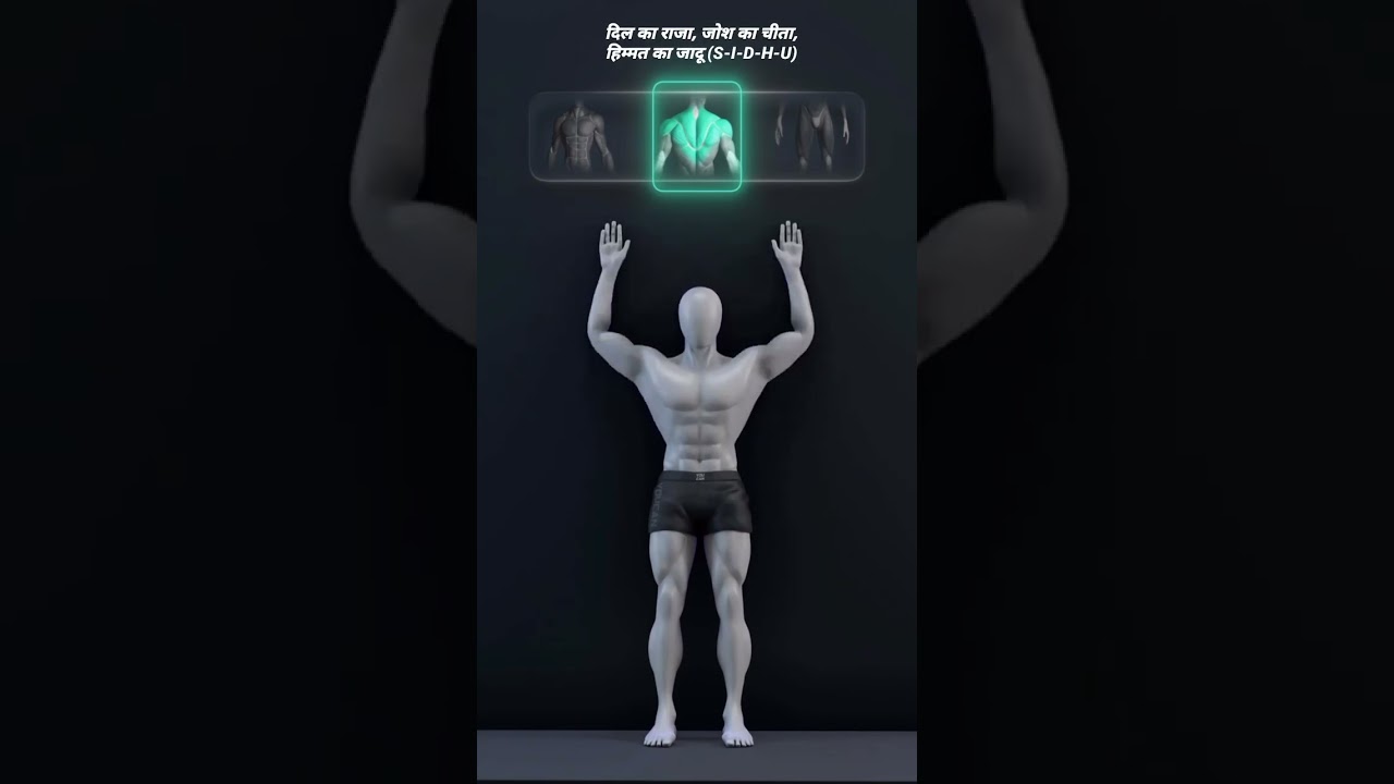 posture correction is primary need 