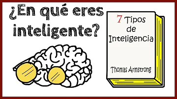 ¿Cuáles son los principales tipos de inteligencia?