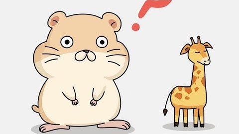 Brain out 2 level 1 find the biggest animal walkthrough solution