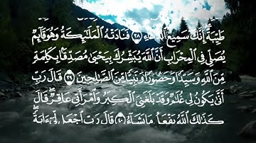 #القرآن_الكريم #سورة_آل_عمران #تلاوة_خاشعة #اكسبلور 