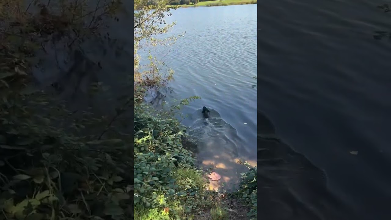 Wassertraining mit 16 Wochen