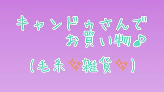 キャンドゥさんで久々のお買い物♪購入商品紹介