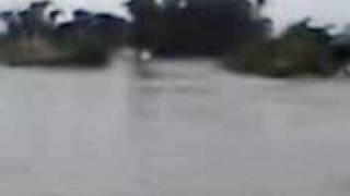Кадр из ролика «flood in bihar(supaul & araria) 6»