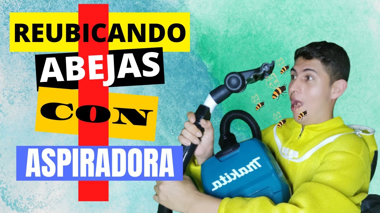 REUBICACIÓN Y RESCATE DE ABEJAS CON ASPIRADORA