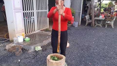 Món lá mì ớt xiêm cà đắng hoa đu đủ món ăn buôn làng ẨM THỰC TÂY NGUYÊN