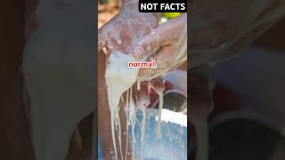 Facts about most craziest things in testis #facts #english #shorts #shortsfeed #shortsviral