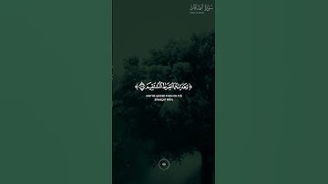 ونصرناهم فكانوا هم الغالبين 🌿 سورة الصافات 🌿 حالات واتس اب قران 🌿 الشيخ #عبدالباسط_عبدالصمد  🌿