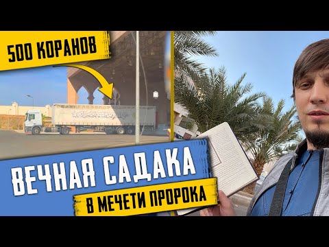 Впервые! 500 Коранов! Вечная МИЛОСТЫНЯ в мечети Посланника Аллаха (ﷺ) | Исмаиль Абу Мухаммад