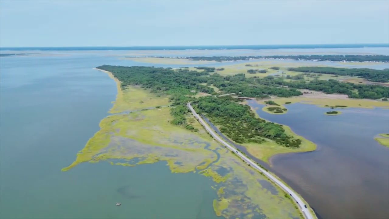 Chincoteague, Virginia 2024