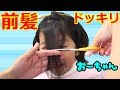 帰ってきたらおーちゃんに前髪が 初前髪でパパたちにドッキリ仕掛けてみた Himawari CH 帰ってきたらおーちゃんに前髪が 初前髪でパパたちにドッキリ仕掛けてみた Himawari CH