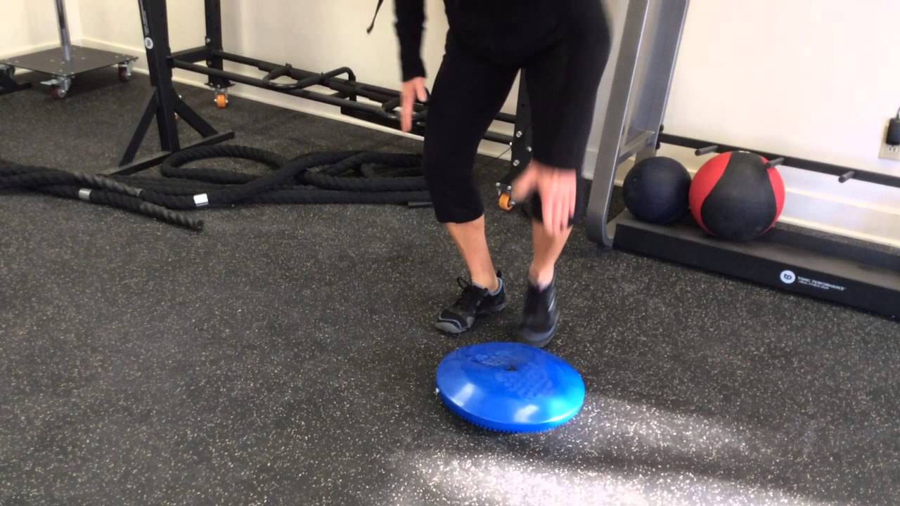 body sport balance disc