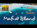 Mafia Island | Paradise of Tanzania