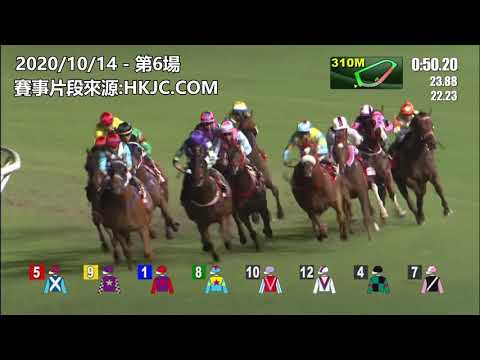 賢仔 廖浩賢香港賽馬2020十月精華