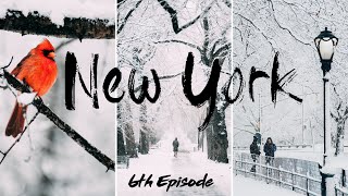 Snowstorm Serenity: Exploring Central Park in Winter Wonderland | POV | Sony a7rv